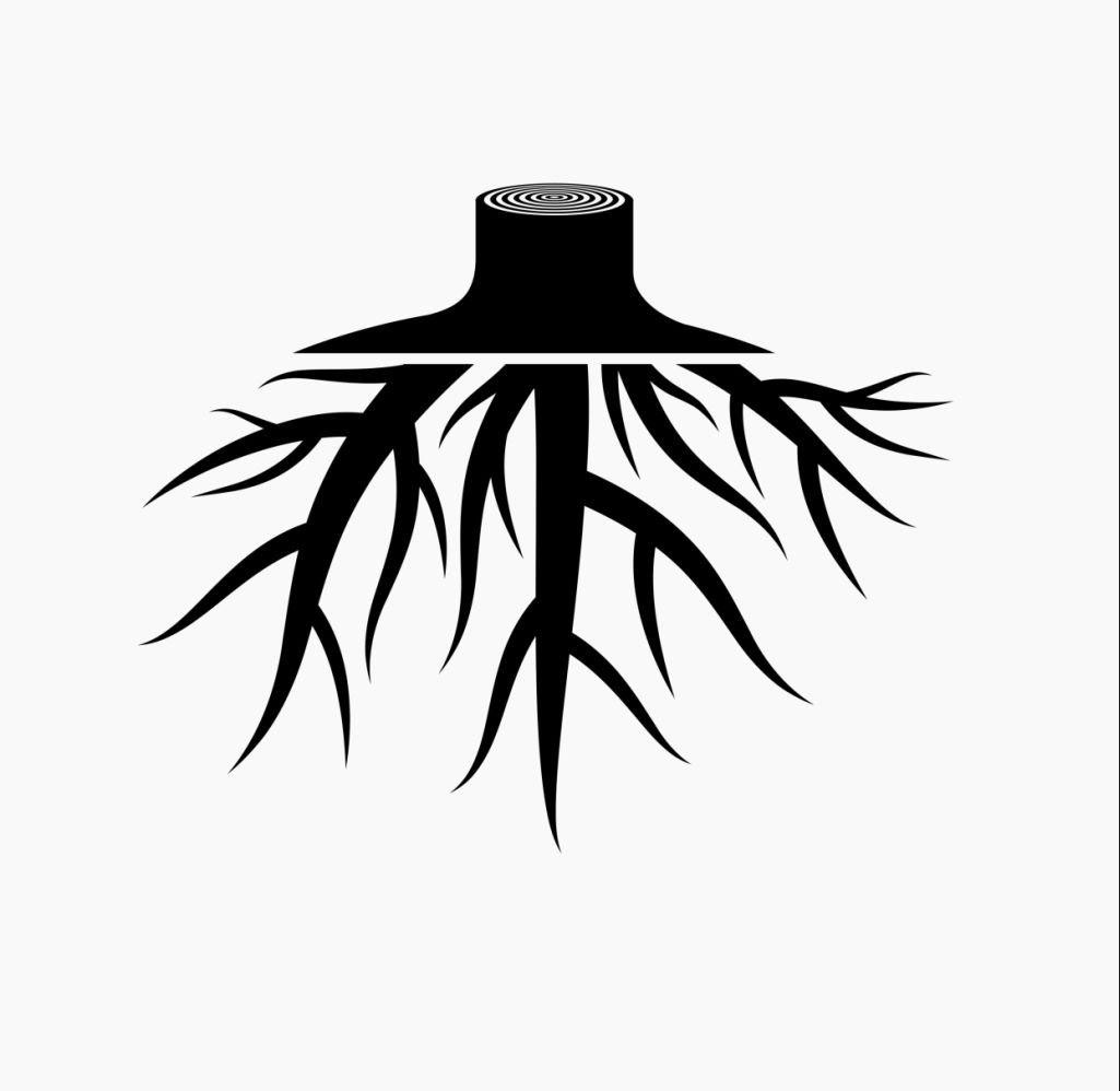 Freshroot